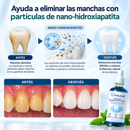 Perlumint – Armadura de Esmalte™